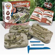 SCIENCE4YOU FOSSIL EXCAVATION 3en1