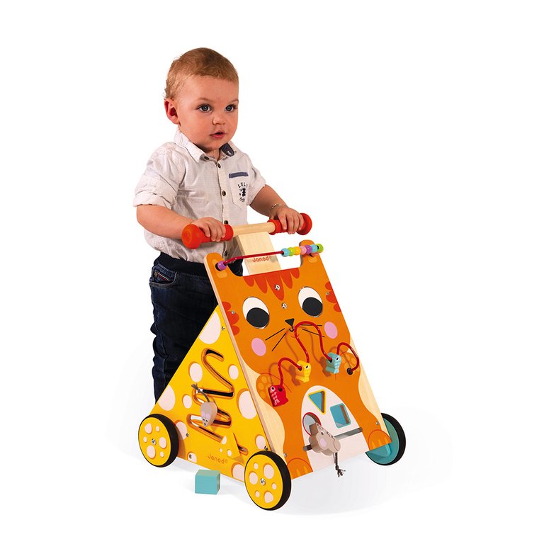 JANOD CHARIOT MULTI-ACTIVITES CHAT